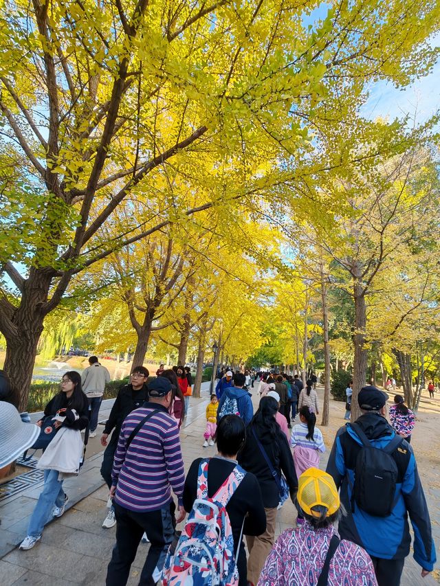 多彩京秋——圓明園獅子林。
