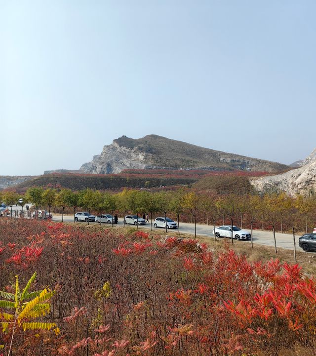 荒野紅葉，異星礦場。