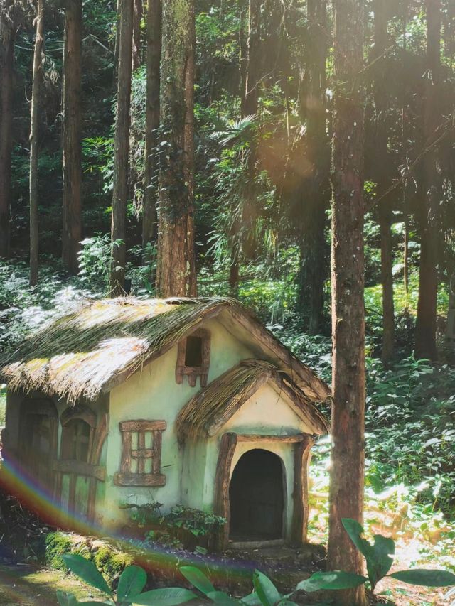 四面山之旅。