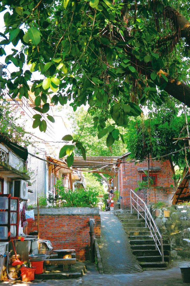 何崗新村可能沒有很美，但這裡的確是個很悠閒很安靜的村子。