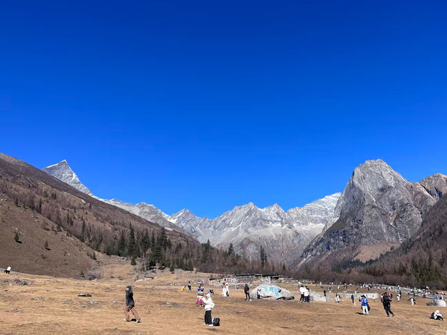 11.18 四姑娘山雪後實拍，比瑞士還像。