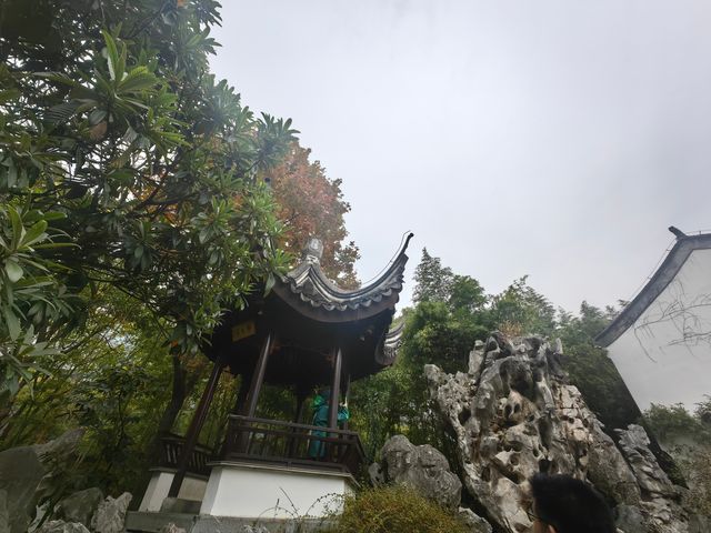 秋探瞻園。 秋探瞻園。