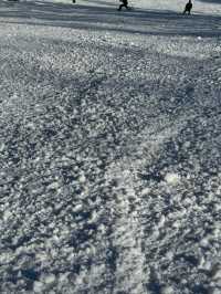 吉林北大湖|這粉雪，誰頂得住！。