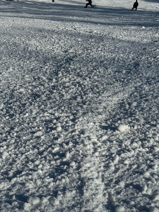 吉林北大湖|這粉雪，誰頂得住！。