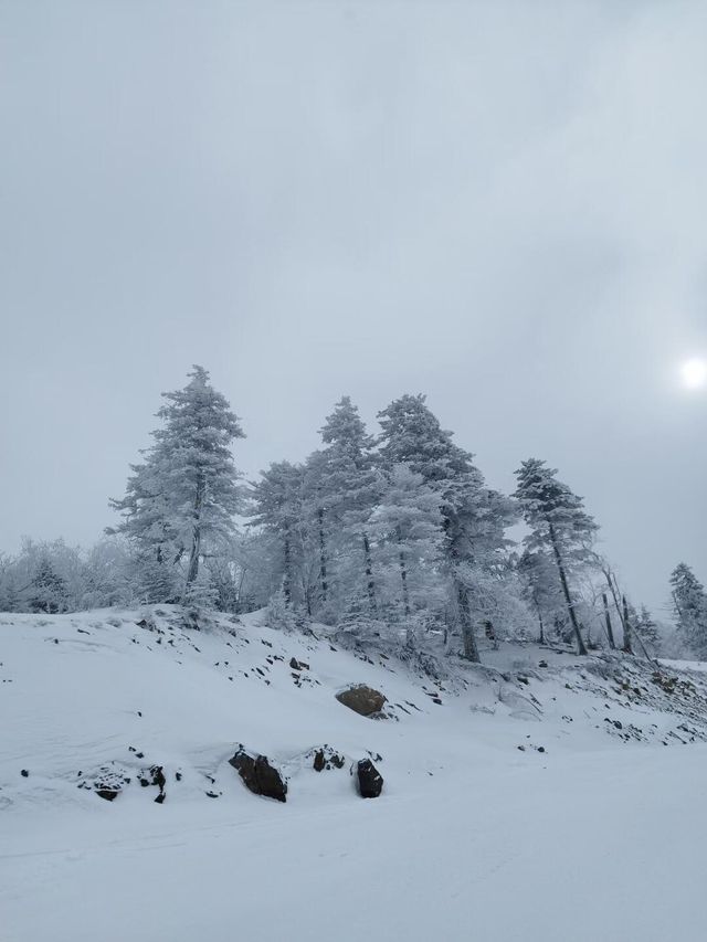 吉林北大湖|這粉雪，誰頂得住！。