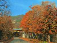 西安周邊遊｜銅川照金大香山。