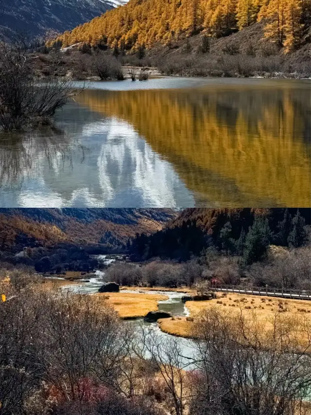Daocheng | A great hiking and photo-taking spot that most people will miss. 