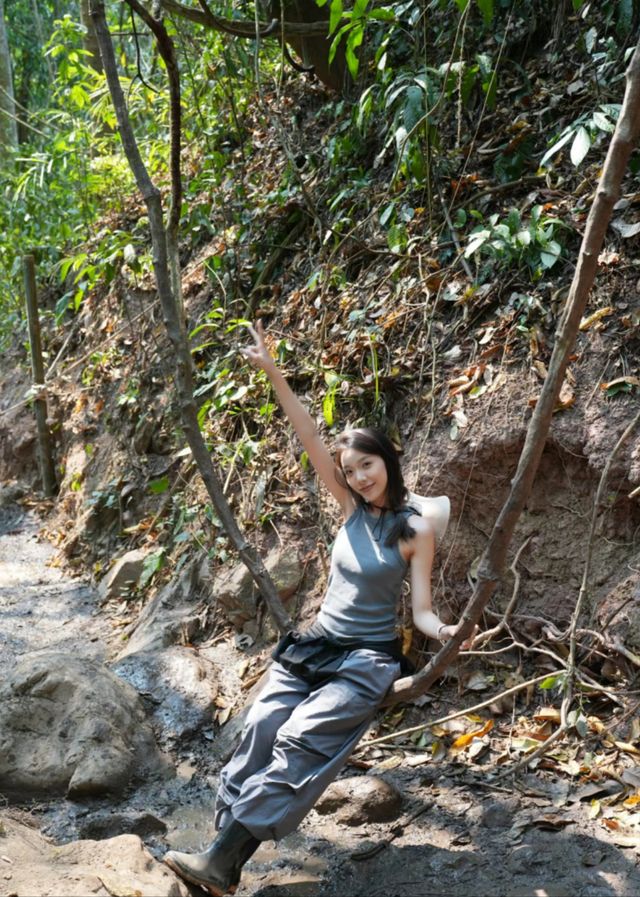 西雙版納基諾山巴朵雨林行山。