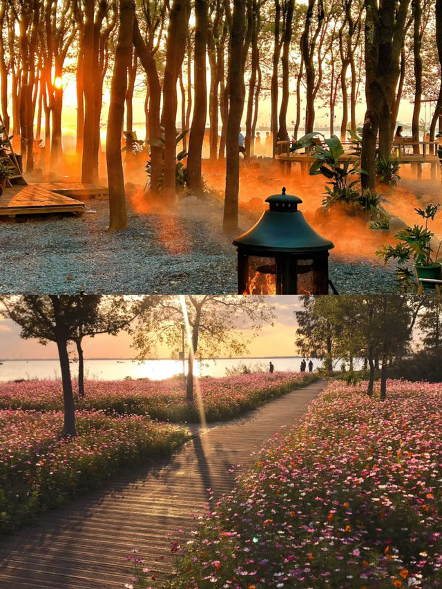 龍蒼溝我的留戀之地下次還會再見的！！。
