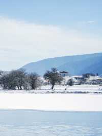 已經開始期待香格里拉的雪景了。