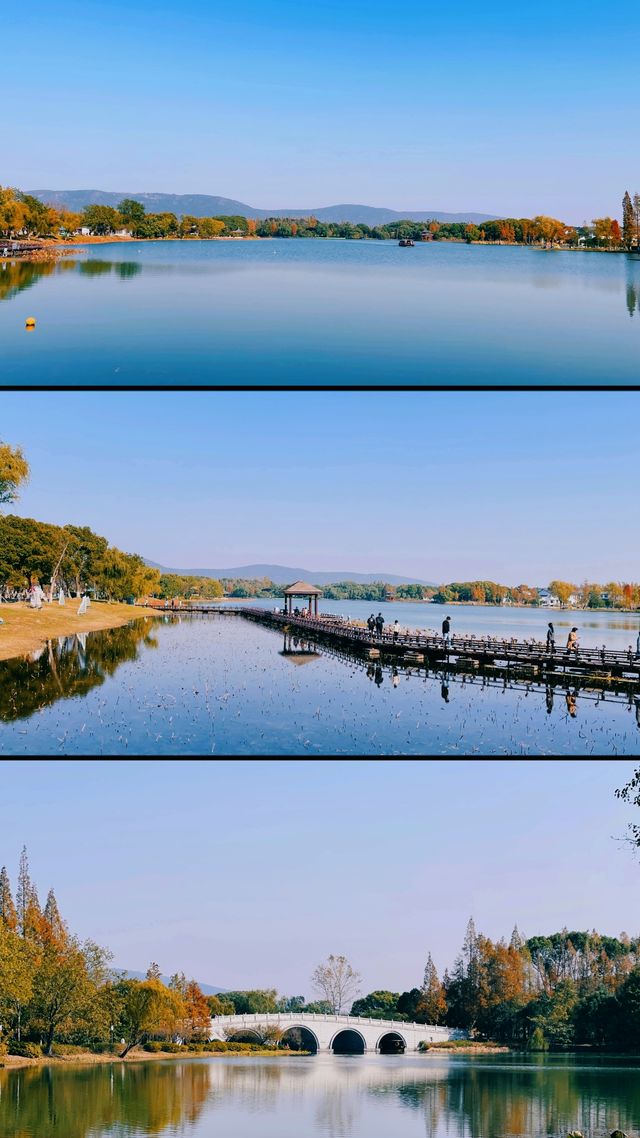 總要下趟江南吧 | 常熟秋日漫行 。