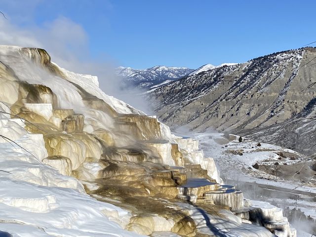 Where to Go for Christmas: A Unique Experience at Yellowstone