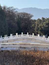 歷史第一罪人慈禧陵墓黃花梨富可敵國