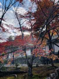 日本·京都嵐山二尊院