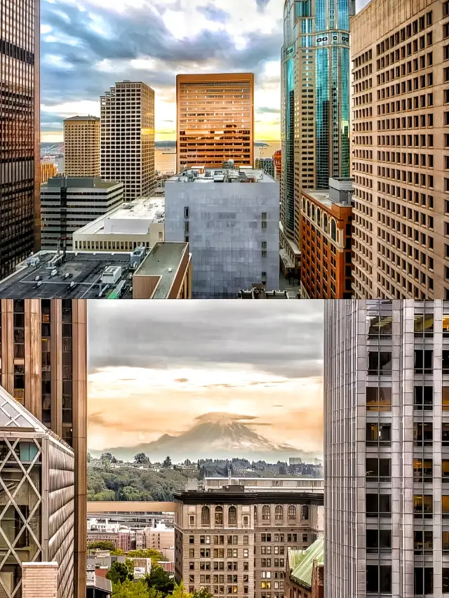 W 시애틀 호텔, 럭셔리한 분위기를 저렴한 가격으로 즐기는 곳