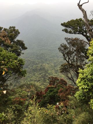 오지산 3일 여행 밤새워 정리한 초실용 가이드