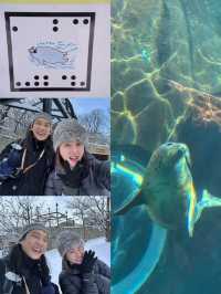 旭川 | 🐧可愛動物園&周邊好吃拉麵店🍜