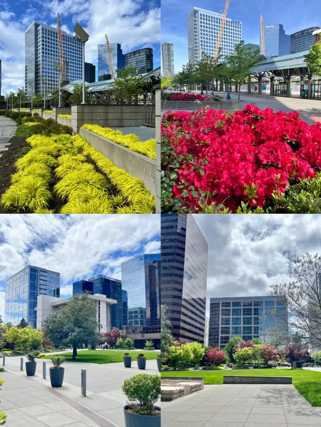 Seattle: A City of Nature and Culture