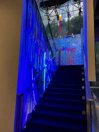 上海當代藝術館攻略