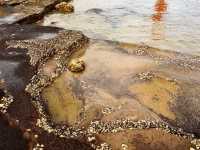 涠洲島:中國最美十大海島之一