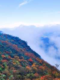 冬日南非10日遊 美景暖你心