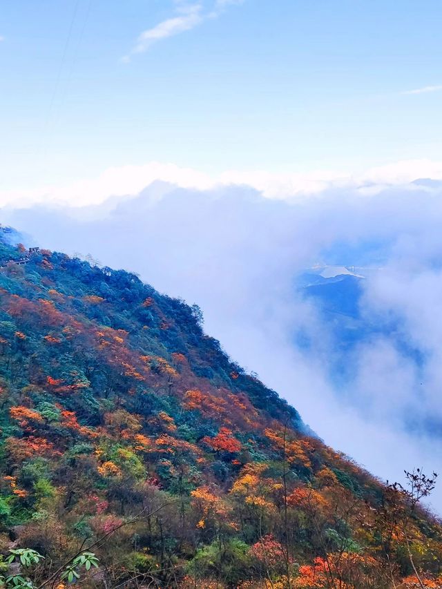 冬日南非10日遊 美景暖你心