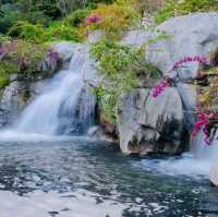 打卡廣州雲蘿植物園