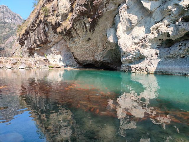 永嘉陶公洞半日遊