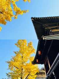 香積寺|藏在繁華都市中的千年古剎!