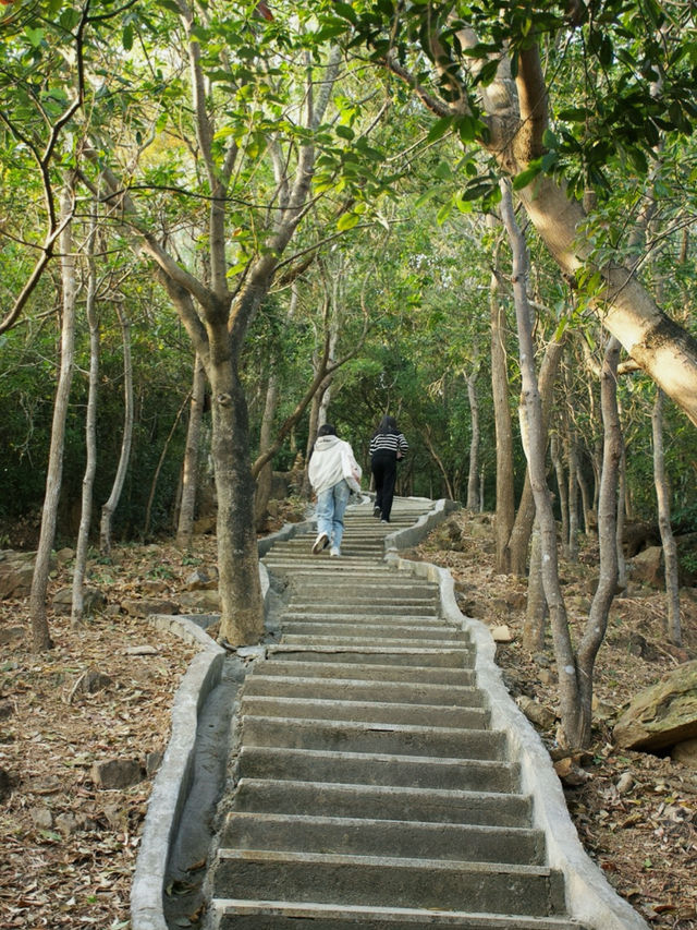 深圳最值得爬的山不允许还有人不知道。