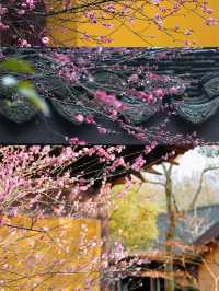杭州小眾景點推薦慧因高麗寺