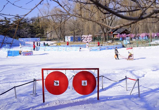 冬遊玉淵潭，冰雪運動，攝影創作兩不誤