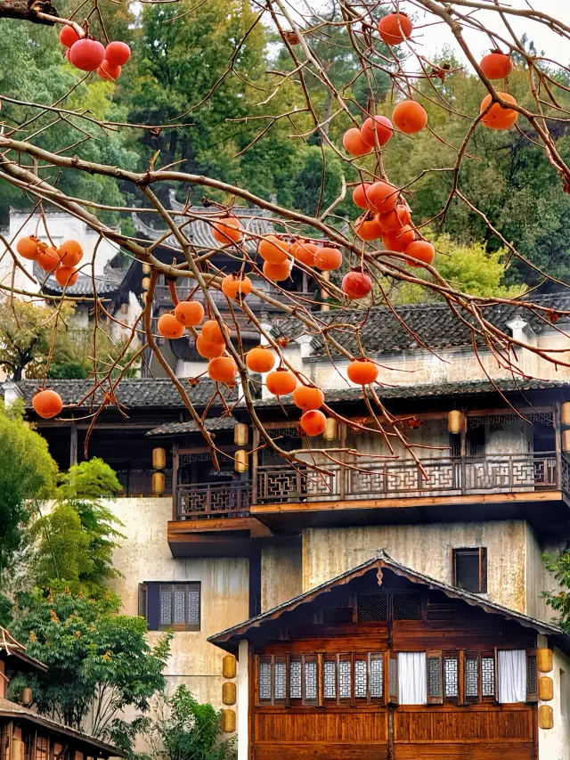 過年暢玩上饒3日遊全攻略