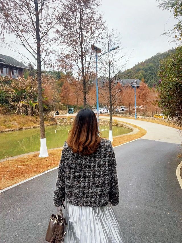 藏在森林裏的度假酒店—馬頭山森林溫泉度假區