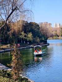 豐慶公園春已至，美好終將來臨！