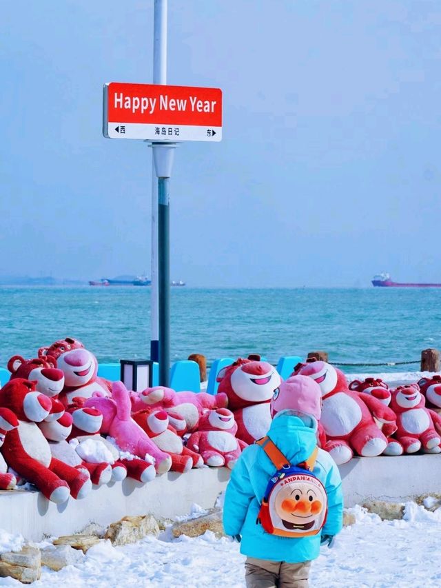 Yantai's seaside after the blizzard is absolutely stunning!!!