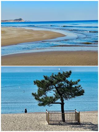 青島3天遊玩回來了，真不建議2月去！因為一首歌來到一座城