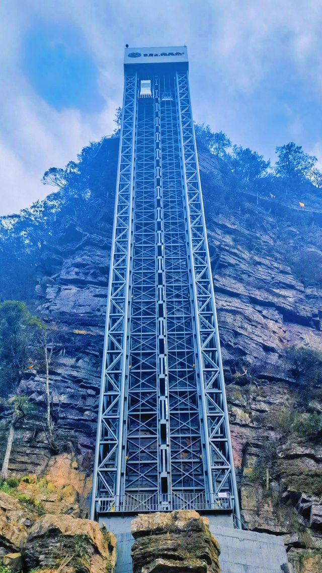 "大瑤山盤王界：這裡的雲海和佛光，真的能讓你震撼嗎？"
