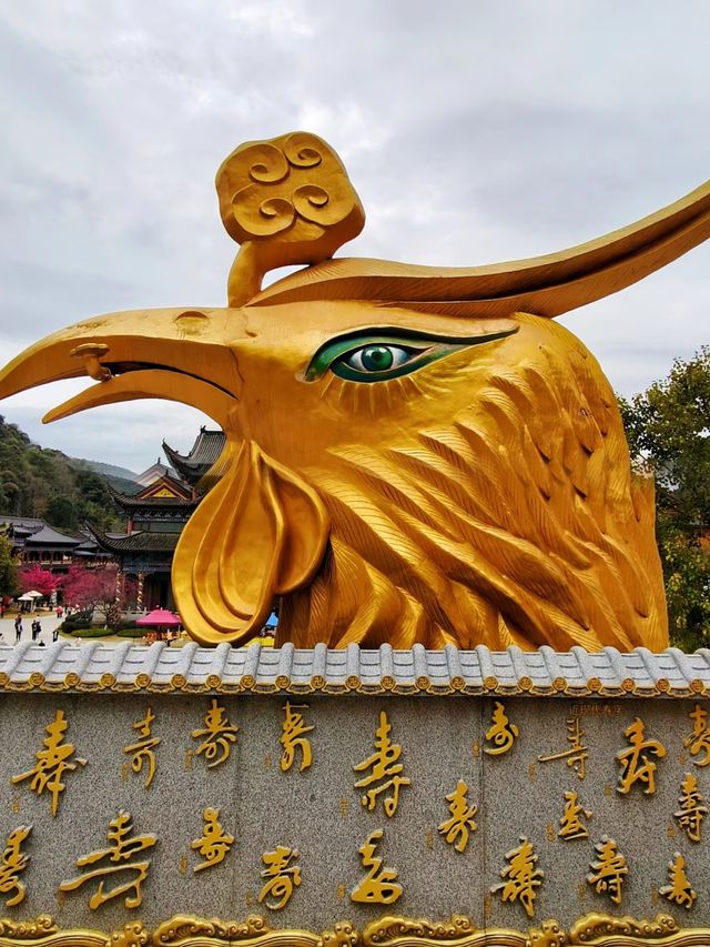 東華禪寺不來就可惜的免費絕美寺廟