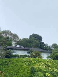新加坡拉柏多公園好漂亮