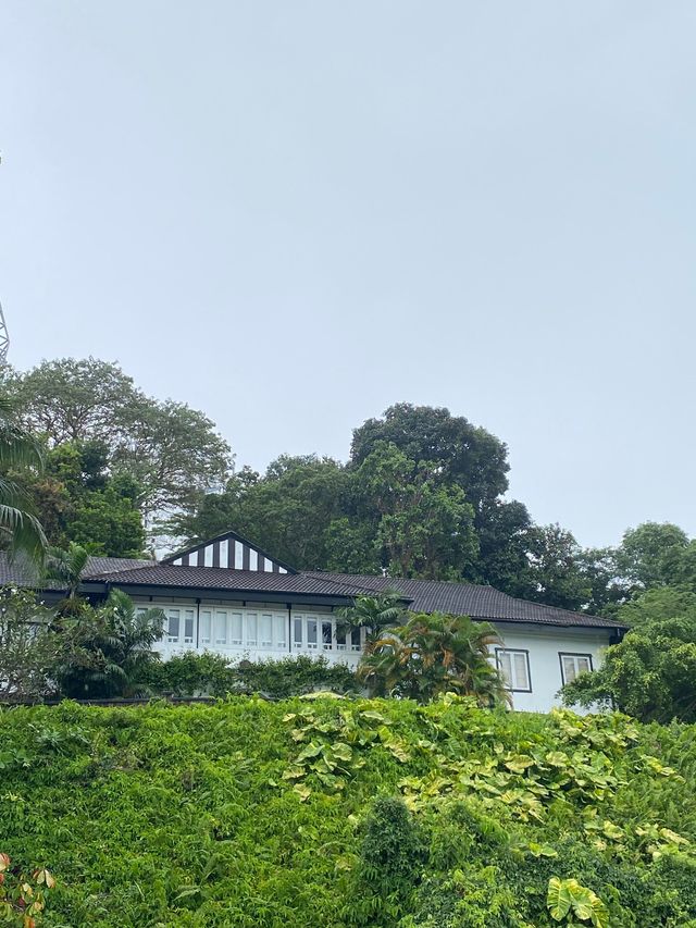 新加坡拉柏多公園好漂亮