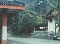 Chengdu Beyond Pandas: Hidden Gems You Can’t Miss!