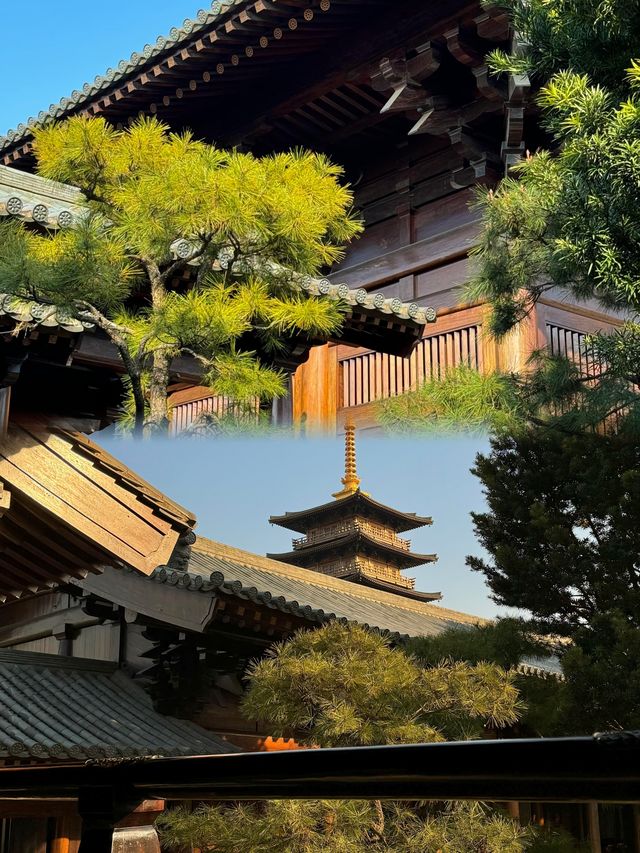 上海小眾秘境｜不在京都！這座寶藏寺廟美到讓人忘記時間