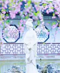 南京2025海棠花觀賞攻略||