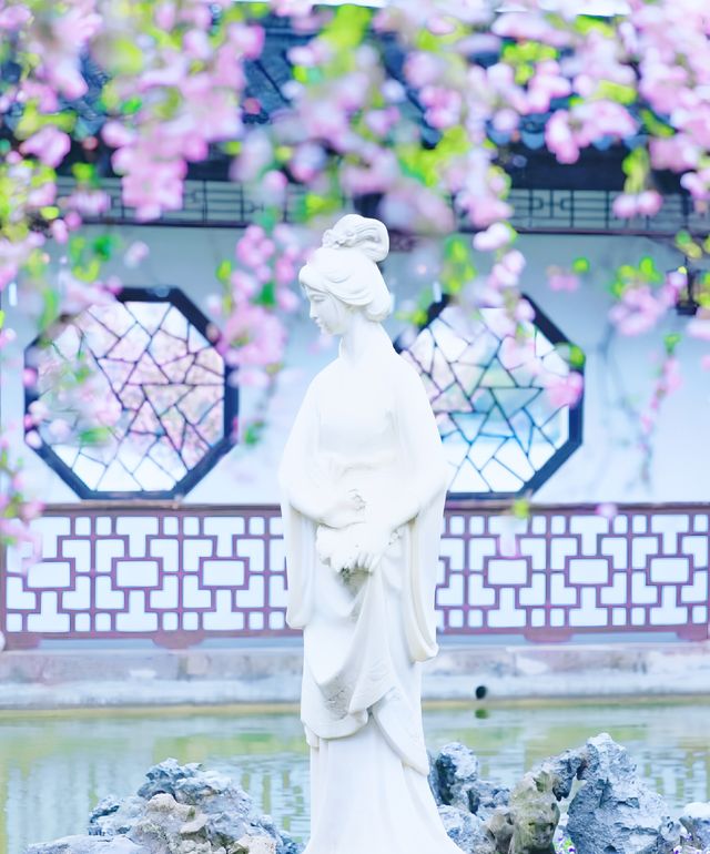 南京2025海棠花觀賞攻略||