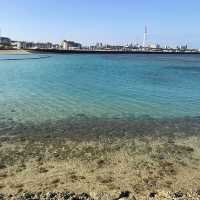 日本沖繩·宜野灣海濱公園—超適合野餐放空的濱海綠洲