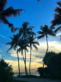 Enjoy a Relaxing Day at Sentosa Beach