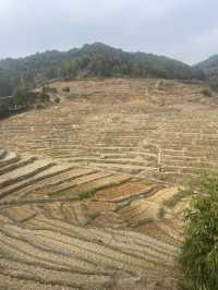 小長假與老友一起探索南靖雲水謠古鎮等地