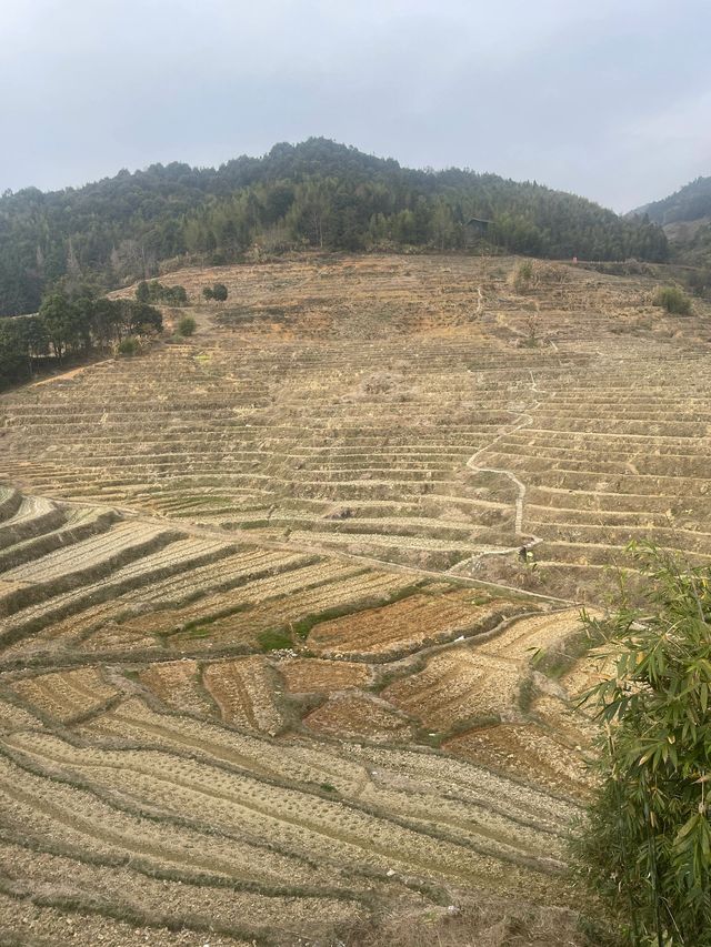 小長假與老友一起探索南靖雲水謠古鎮等地