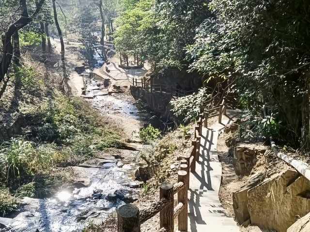 藏不住喇！樟樹呢啲踏青賞花好去處快啲收好！